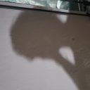 Member avatar
