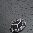Member avatar